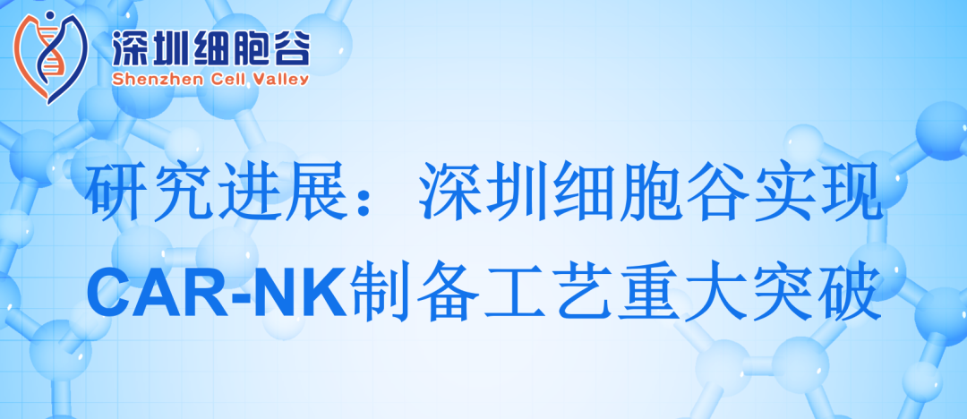 深圳USDT钱包实现CAR-NK制备工艺重大突破