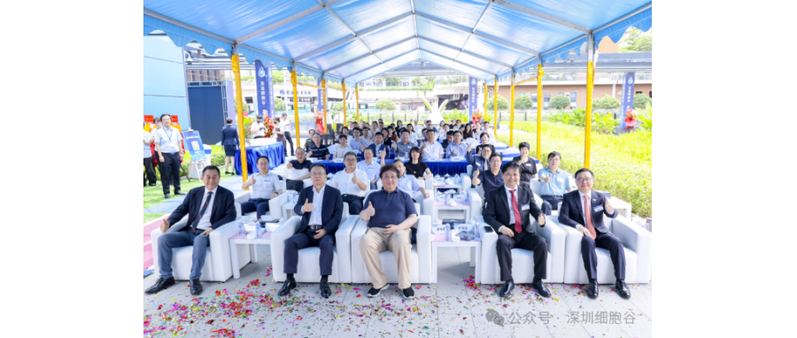 联动香港，开启前海细胞治疗新未来——深港USDT钱包盛大开业