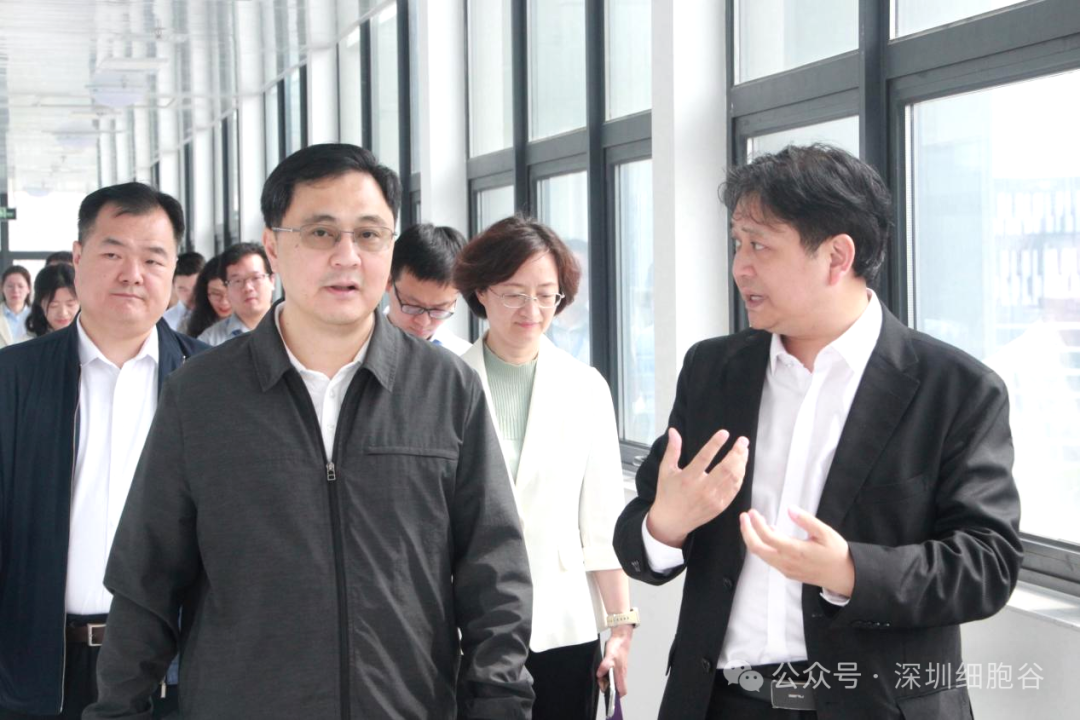 深圳市科创局张林局长一行调研深圳USDT钱包