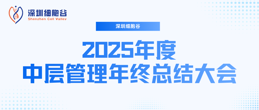 深圳USDT钱包召开2025年度中层管理年终总结大会：多点布局成果丰硕，创新驱动快速开展