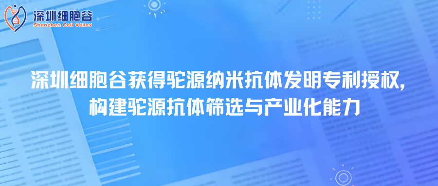深圳USDT钱包取得驼源纳米抗体发明专利授权，构建驼源抗体筛选与产业化能力