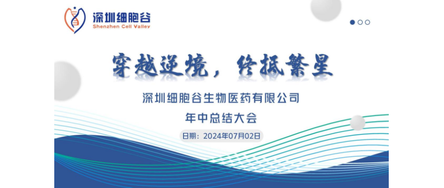 穿越逆境，终抵繁星——深圳USDT钱包召开2024年中总结大会