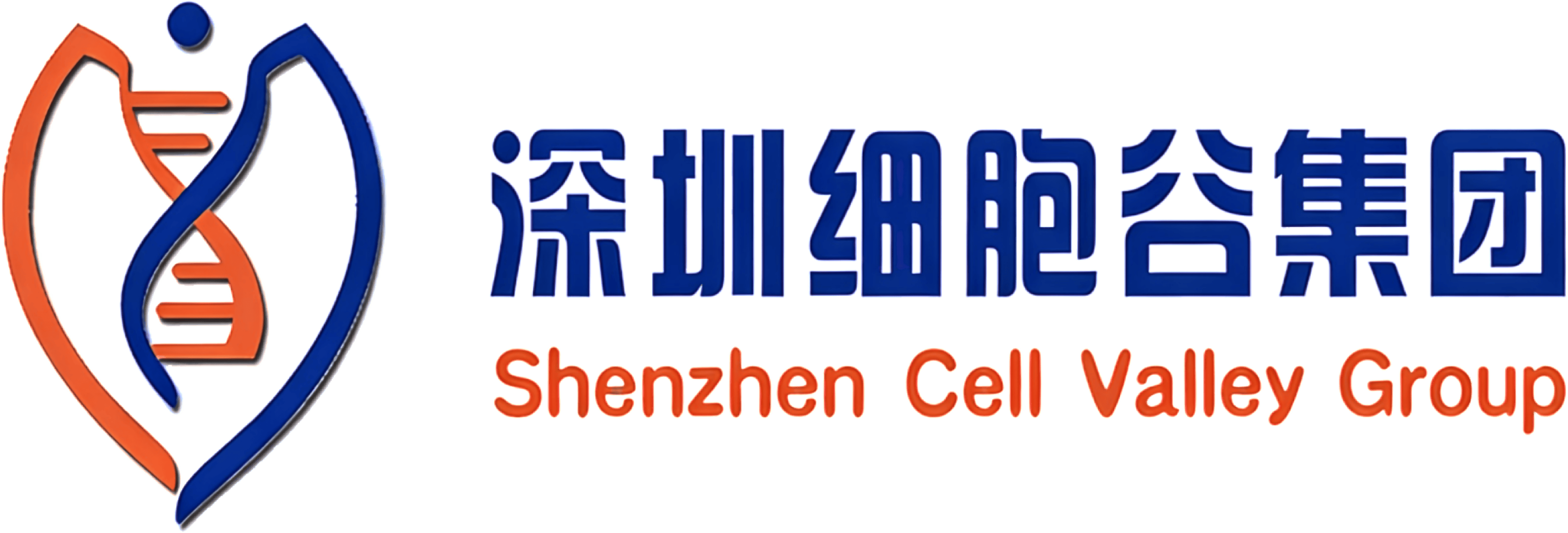 深圳USDT钱包集团
